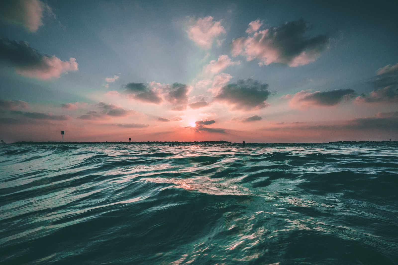 Open ocean at first light — calm, boundless water